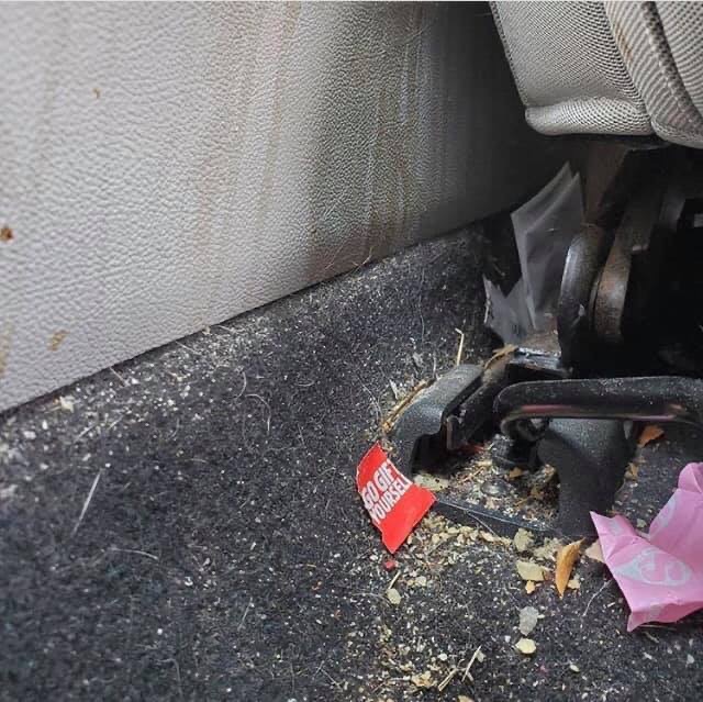 Back Seat Detail
